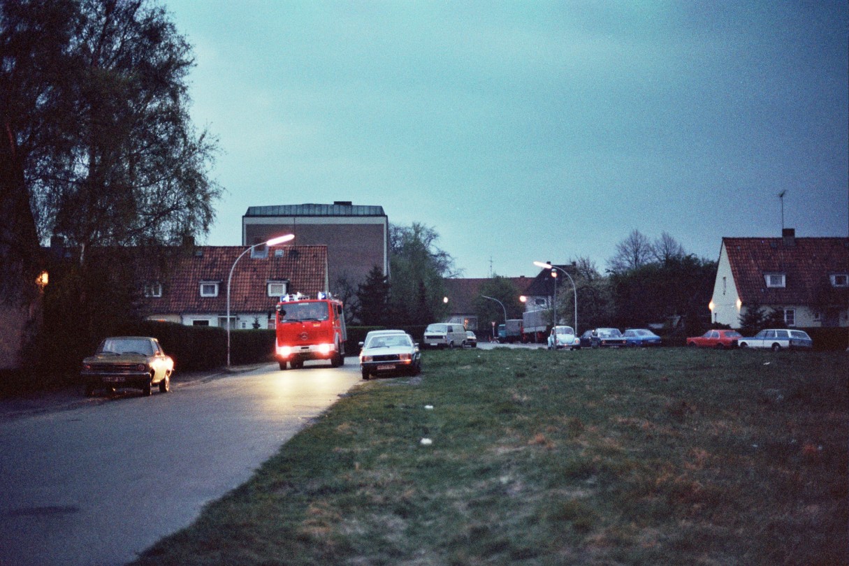 ---_0081.jpg