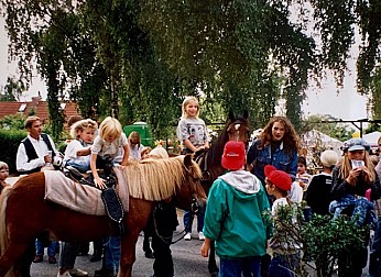 image7.jpeg