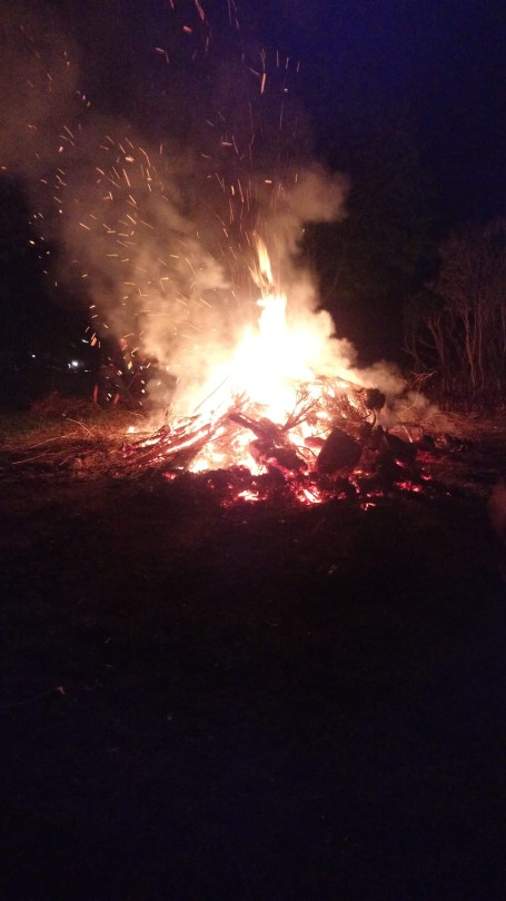 2019-04-014.jpg