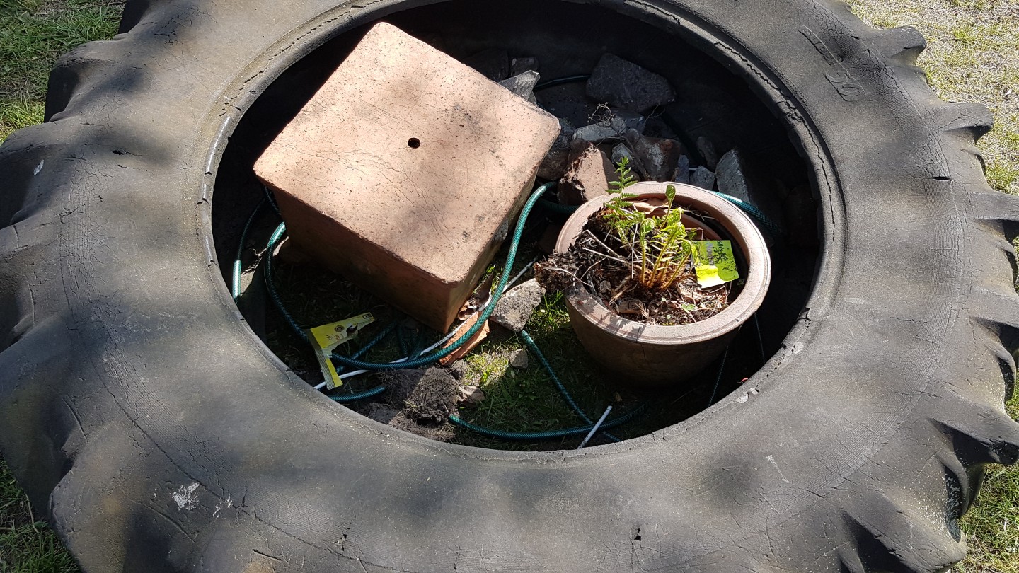 2019-04-019.jpg