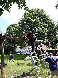 2019-05-02.jpg