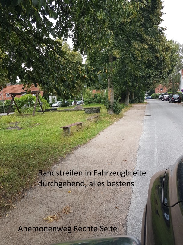 Anemonenweg-01.0.jpg