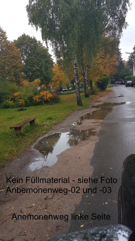 Anemonenweg-13.1.jpg