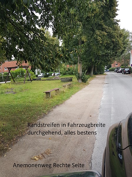 Anemonenweg-01.0.jpg