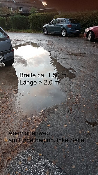 Anemonenweg-12.1.jpg