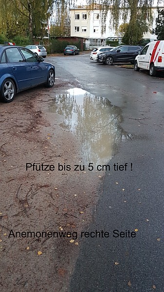 Anemonenweg-12.3.jpg