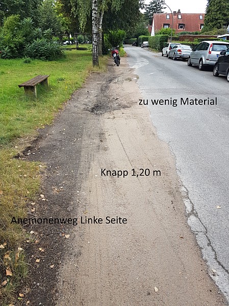 Anemonenweg-13.0.jpg