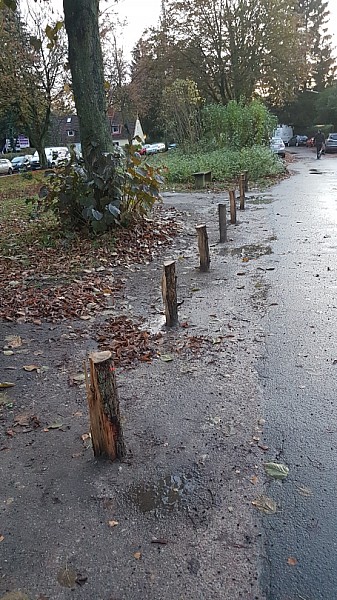 Anemonenweg-14.0.jpg