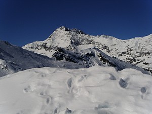 Pfelders_110.jpg Pfelders_110.jpg