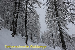 Pfelders 03.2017-019T.jpg Pfelders 03.2017-019T.jpg