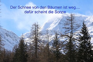 Pfelders 03.2017-233T.jpg Pfelders 03.2017-233T.jpg