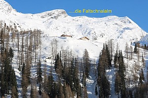 Pfelders 03.2017-331T.jpg Pfelders 03.2017-331T.jpg