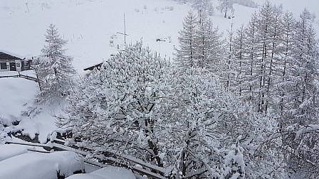 2019-03-14.jpg 2019-03-14.jpg