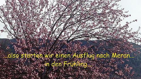 2019-03-15.jpg 2019-03-15.jpg