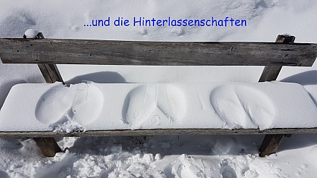 2019-03-23.jpg 2019-03-23.jpg
